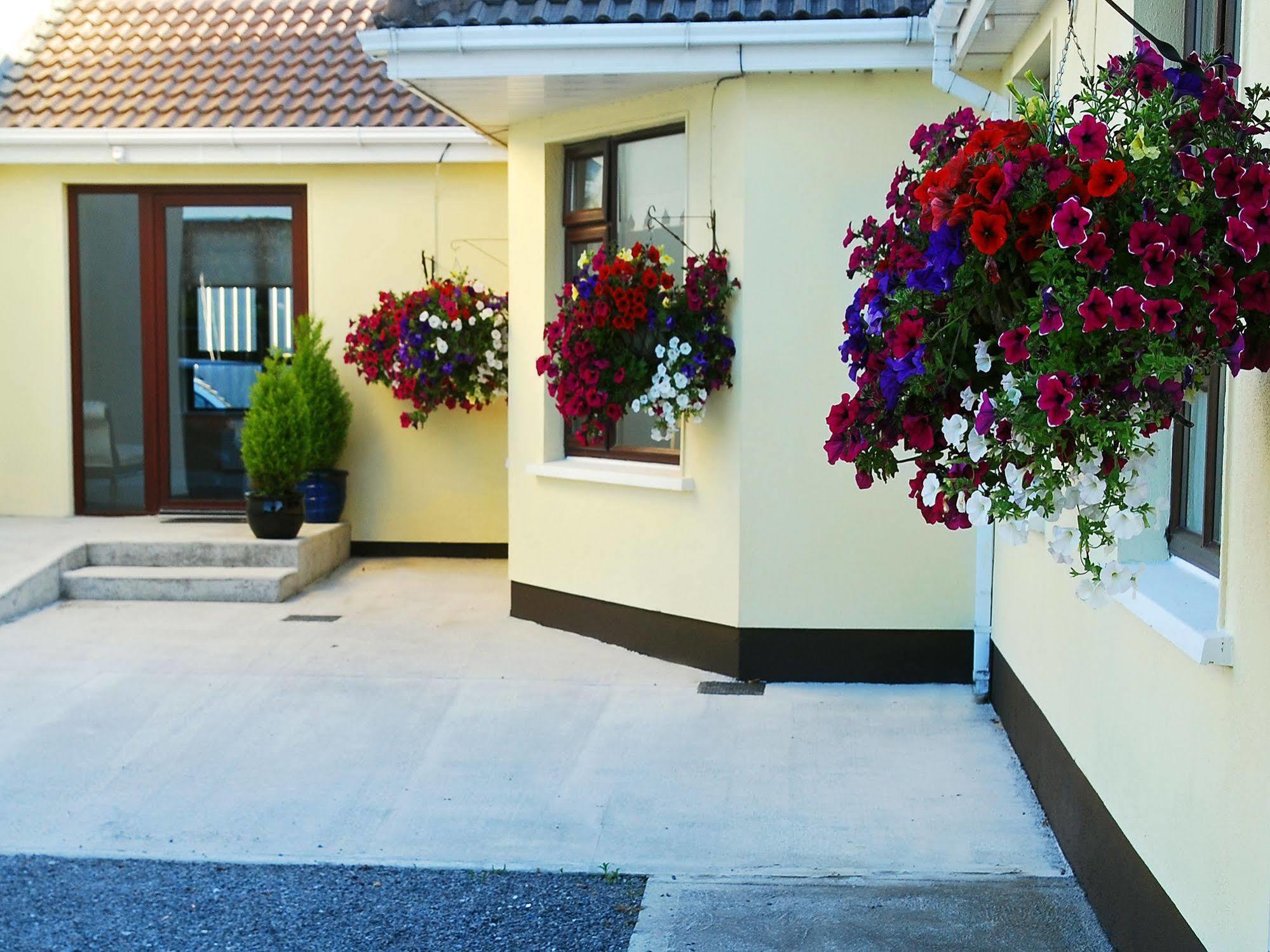 Hillview Self Catering Διαμέρισμα Lusk Εξωτερικό φωτογραφία